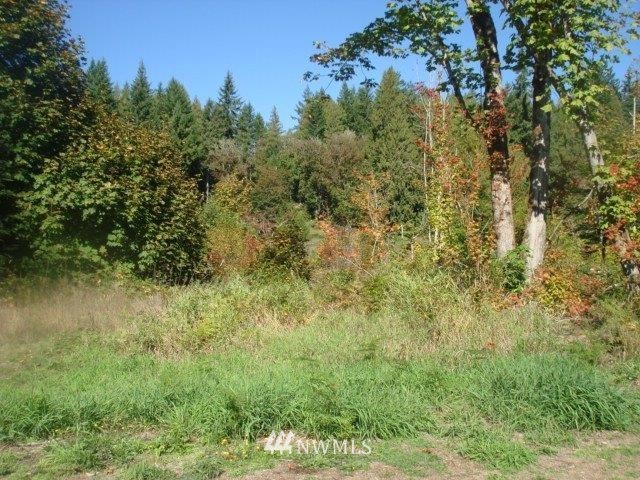 154 Ashfield Road Randle, WA 98377 - Photo 1 of 19 Gallery Image 1