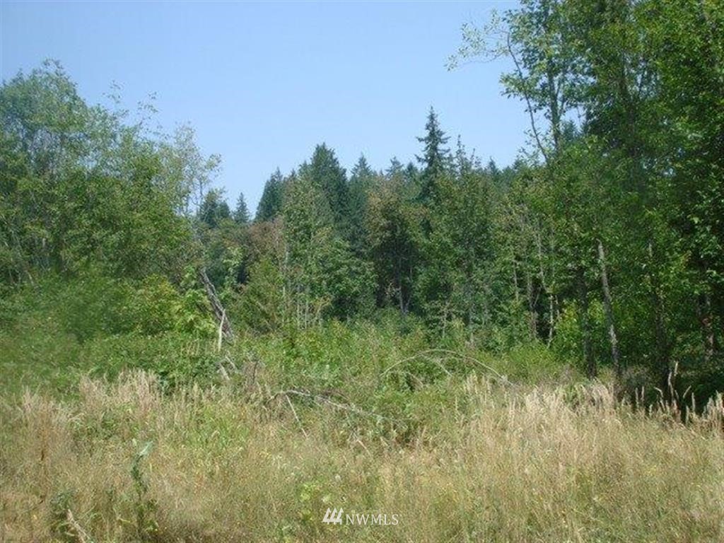 154 Ashfield Road Randle, WA 98377 - Photo 14 of 19 Gallery Image 14