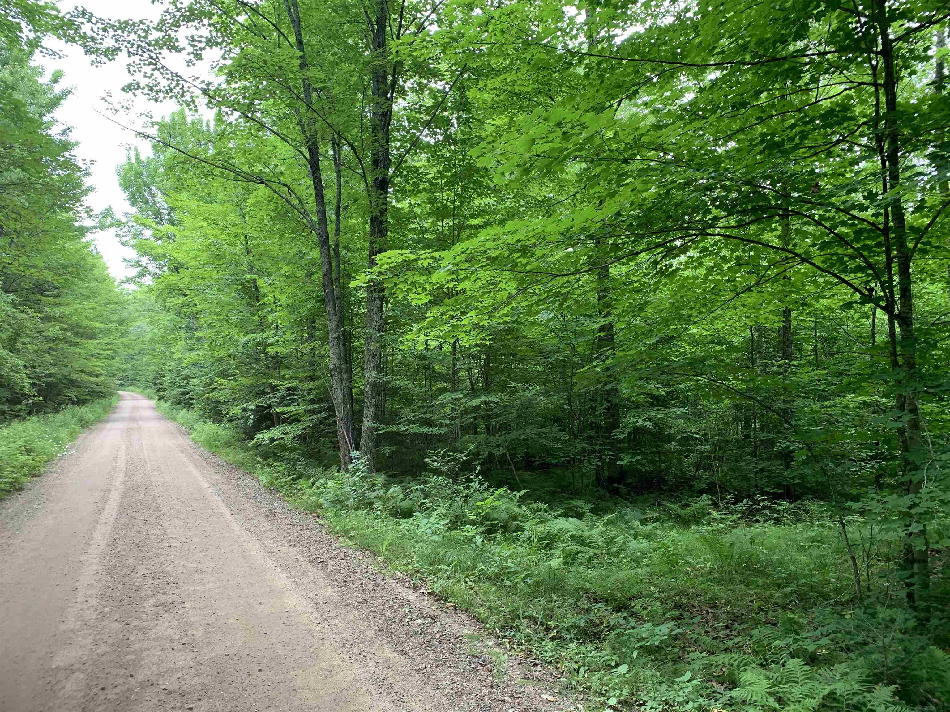 0 Smt Wds Lane Gleason, WI 54435 - Photo 2 of 17