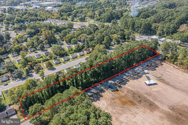 a view of a garden with flowers