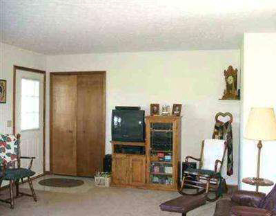 13135 Bancroft Road Byron, MI 48418 - Photo 4 of 7 20345614-3.JPG