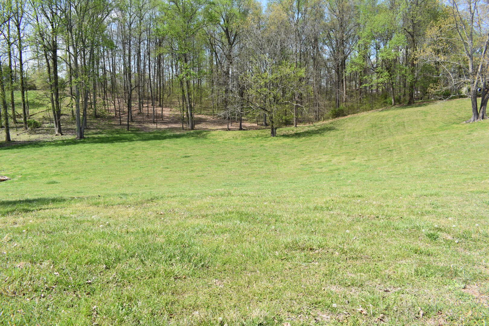 0 Womble Road Shelbyville, TN 37160 - Photo 19 of 20