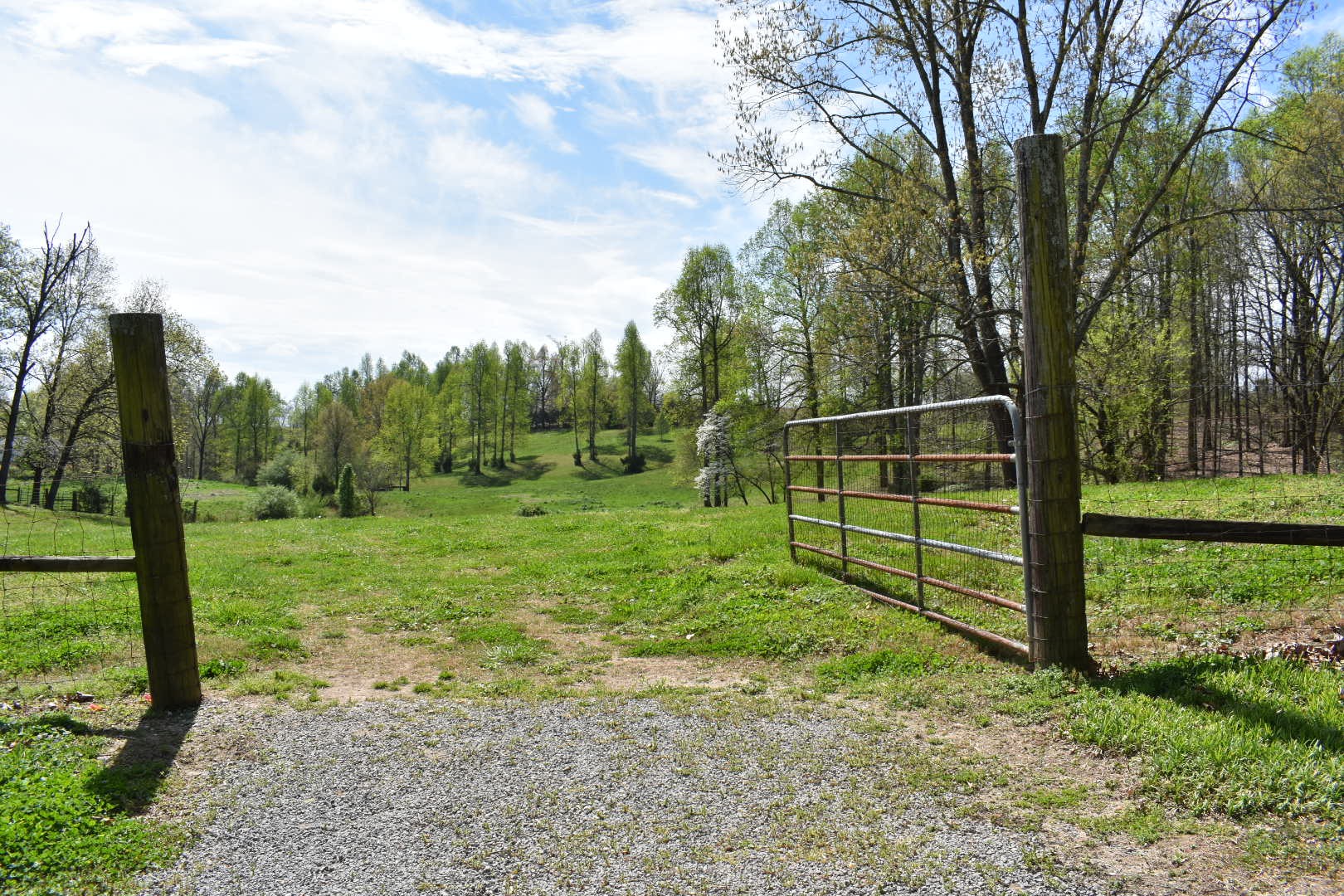 0 Womble Road Shelbyville, TN 37160 - Photo 2 of 20