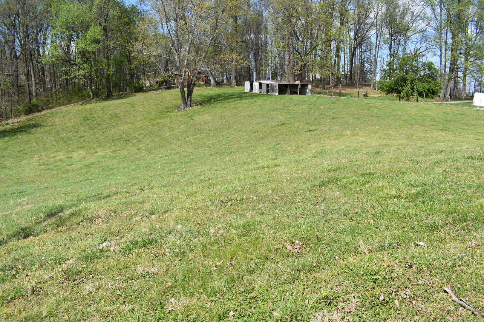 0 Womble Road Shelbyville, TN 37160 - Photo 3 of 20