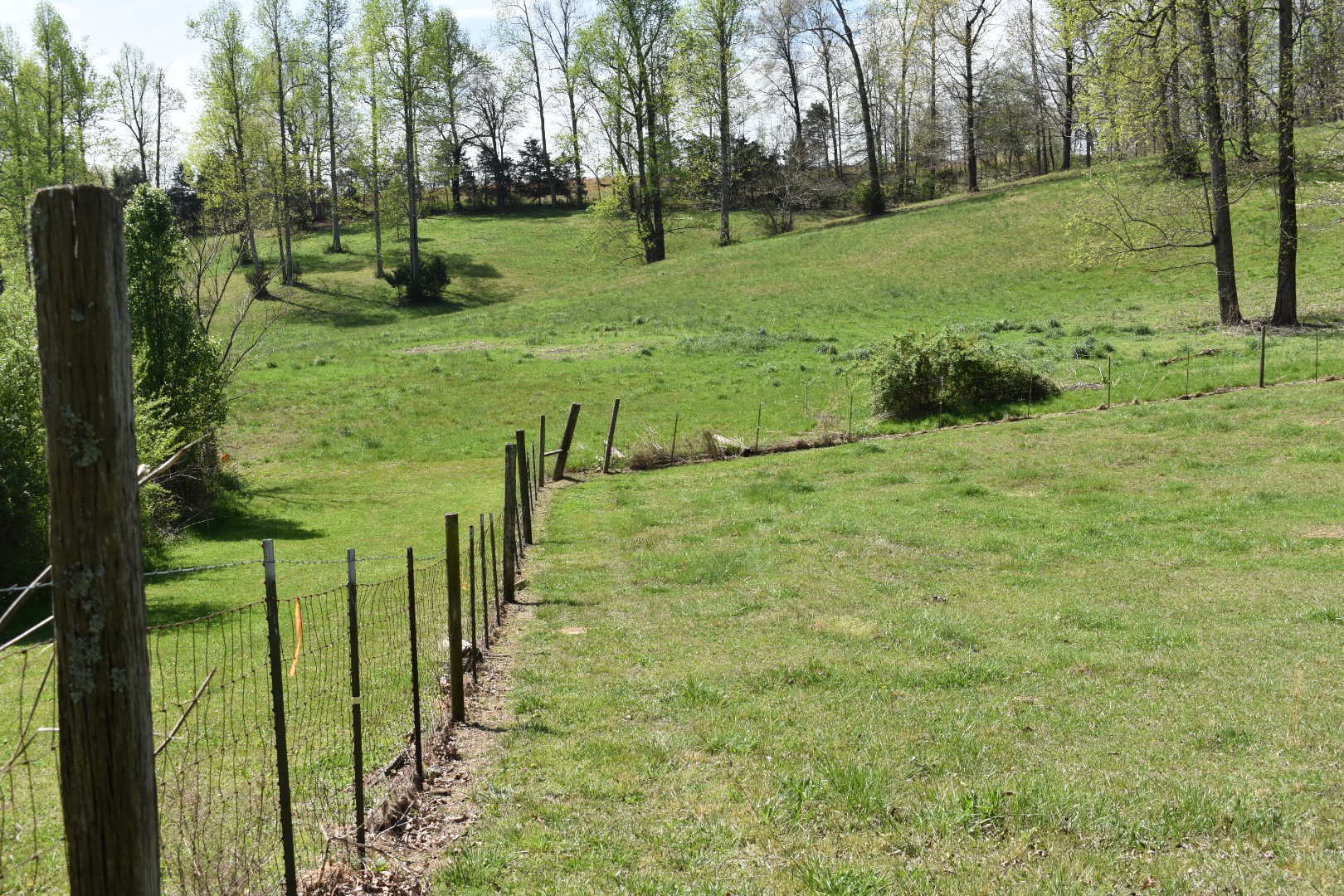 0 Womble Road Shelbyville, TN 37160 - Photo 4 of 20