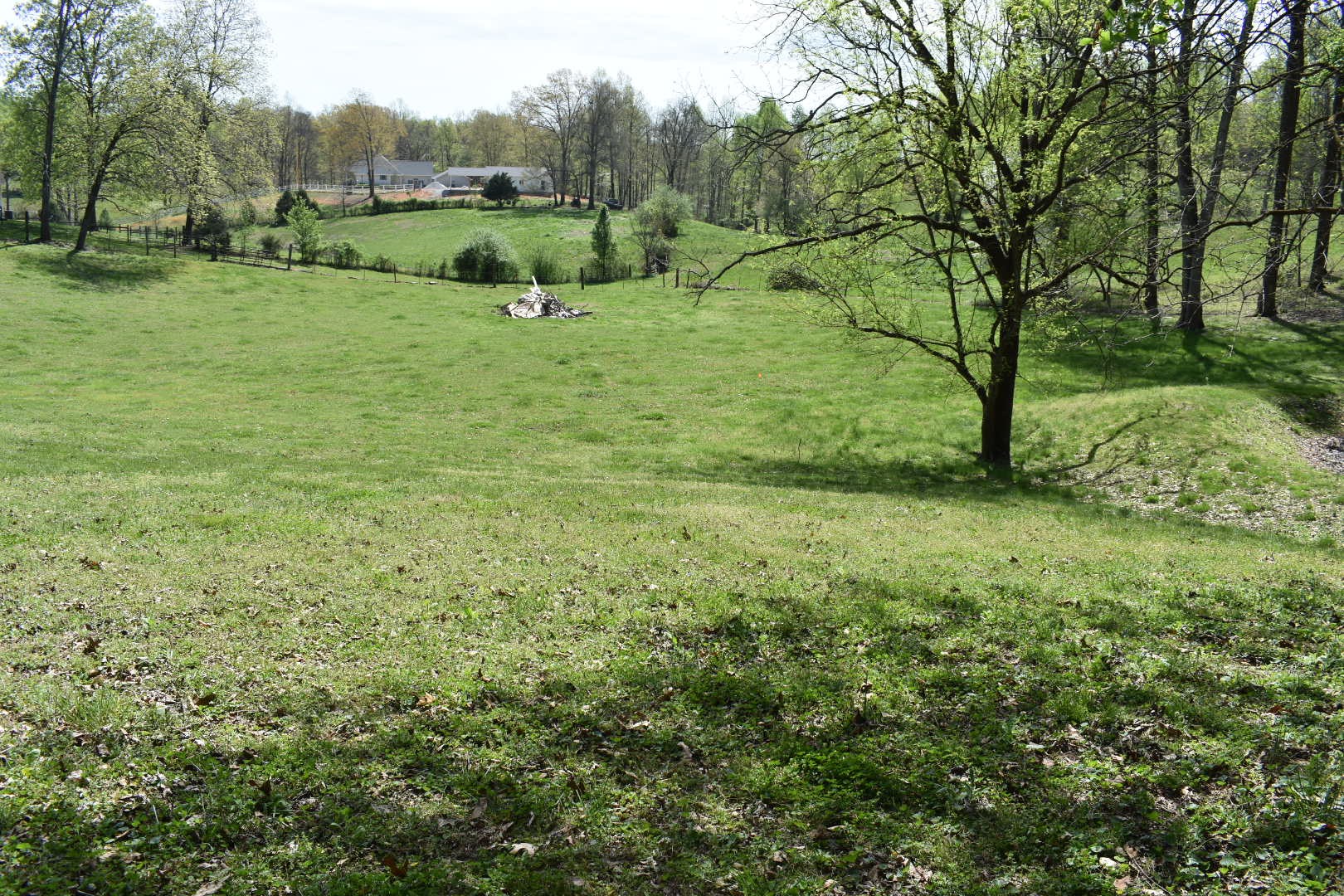 0 Womble Road Shelbyville, TN 37160 - Photo 5 of 20