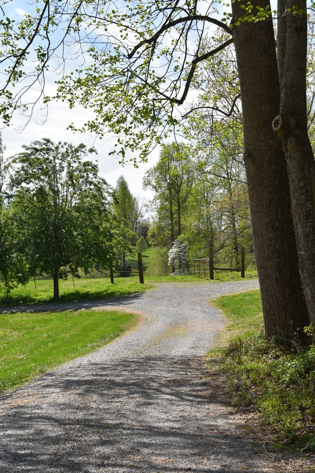 0 Womble Road Shelbyville, TN 37160 - Photo 7 of 20