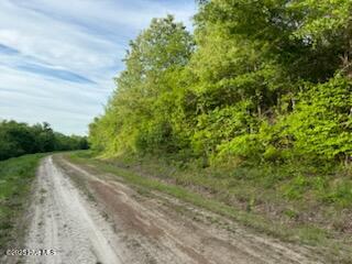 Lot C Lot C South Rd Mills Camden, NC 27921 - Photo 4 of 5 IMG_0060