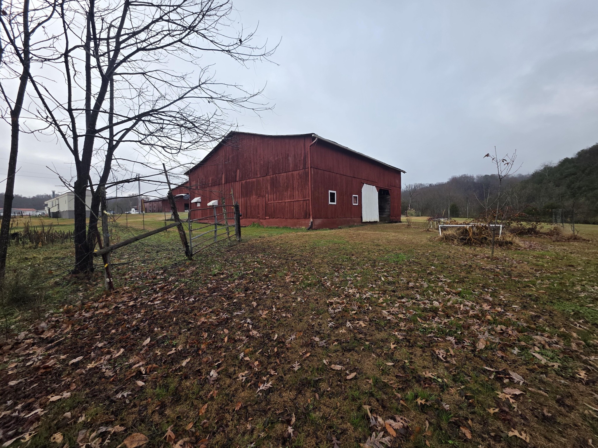 180 Click Road Mosheim, TN 37818 - Photo 12 of 21
