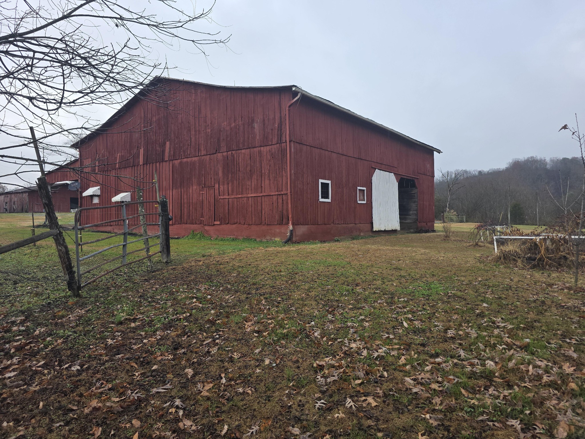 180 Click Road Mosheim, TN 37818 - Photo 13 of 21