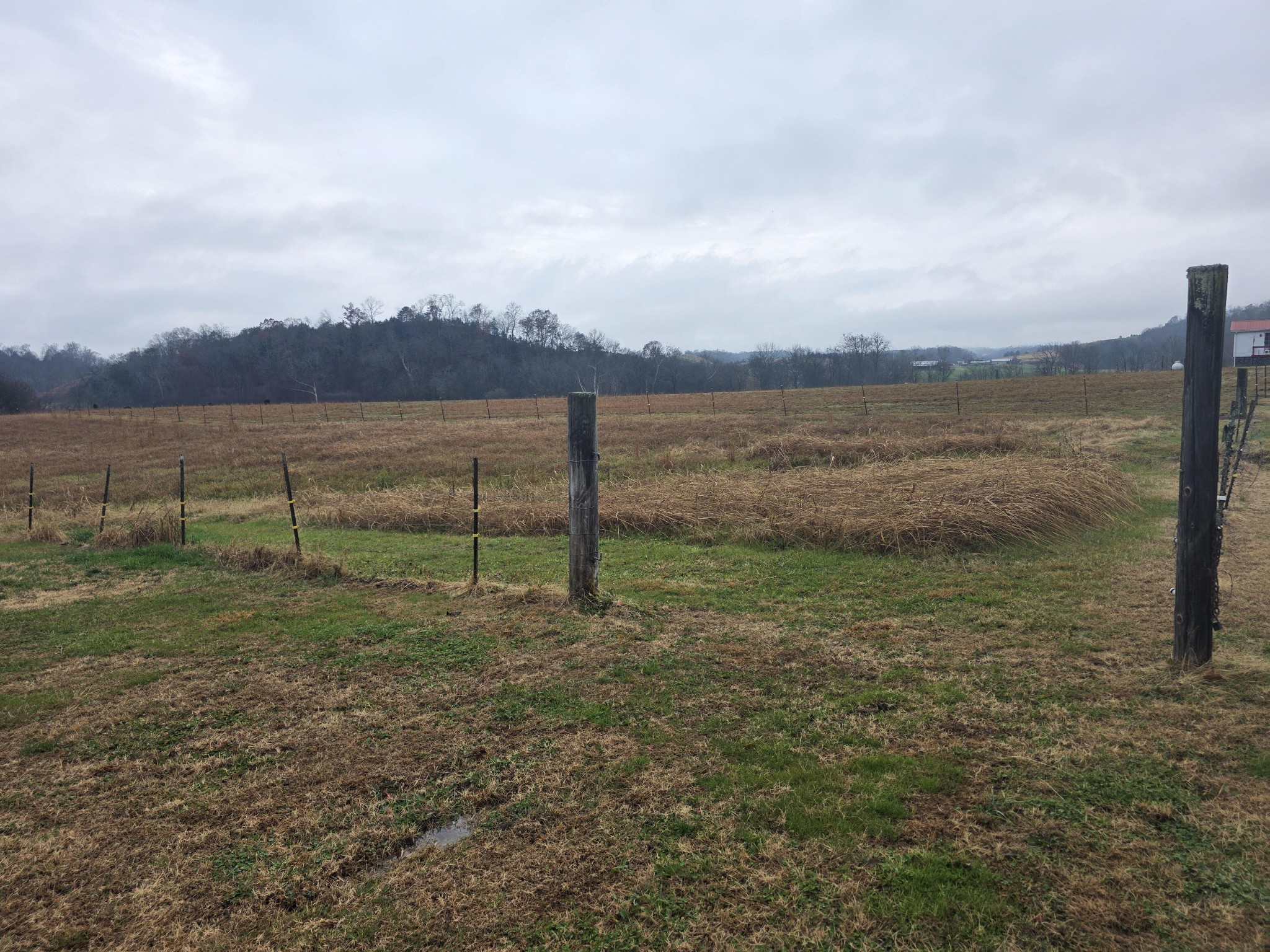 180 Click Road Mosheim, TN 37818 - Photo 19 of 21