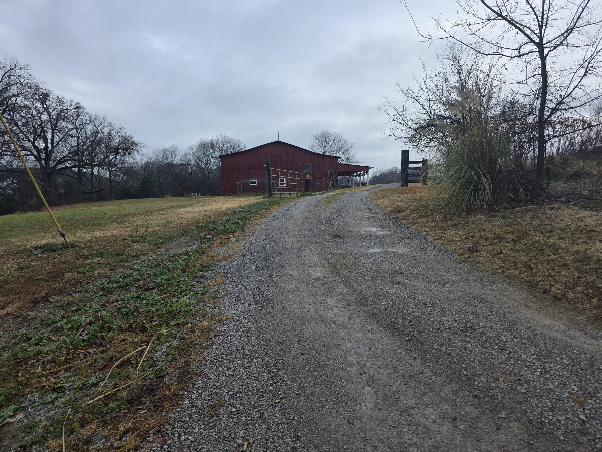180 Click Road Mosheim, TN 37818 - Photo 3 of 21