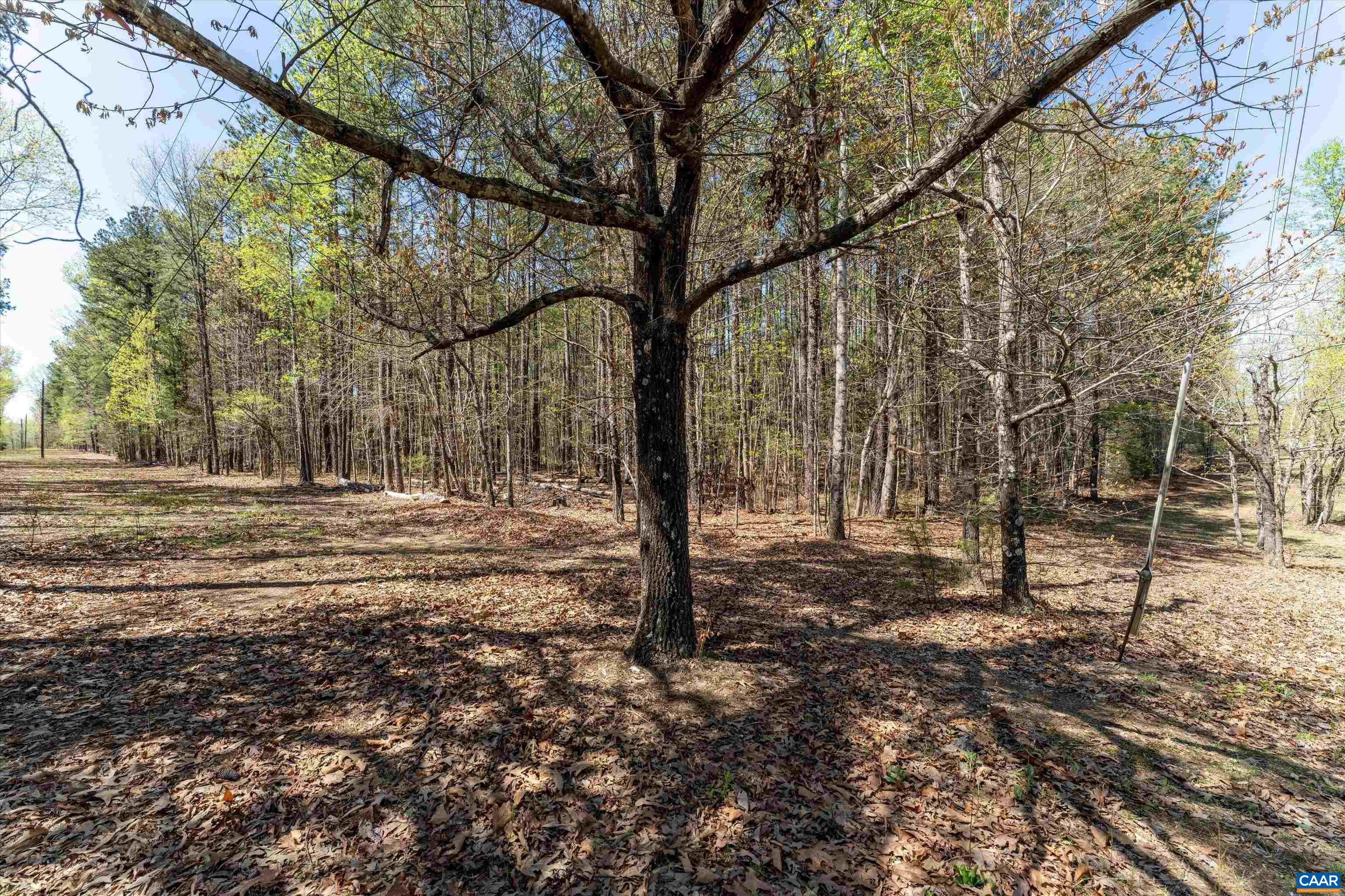 Lot 27 Martin Kings Road Charlottesville, VA 22902 - Photo 12 of 45 a view of road with trees