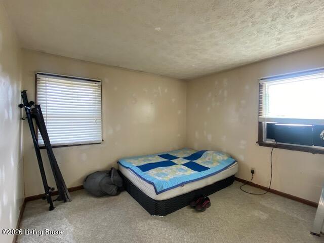 3765 Holy Cross Road New Haven, KY 40051 - Photo 4 of 9 carpeted bedroom