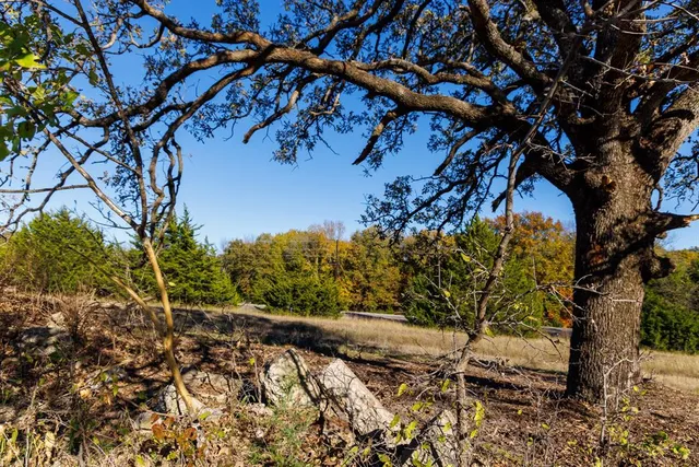 a view of a lake from a yard