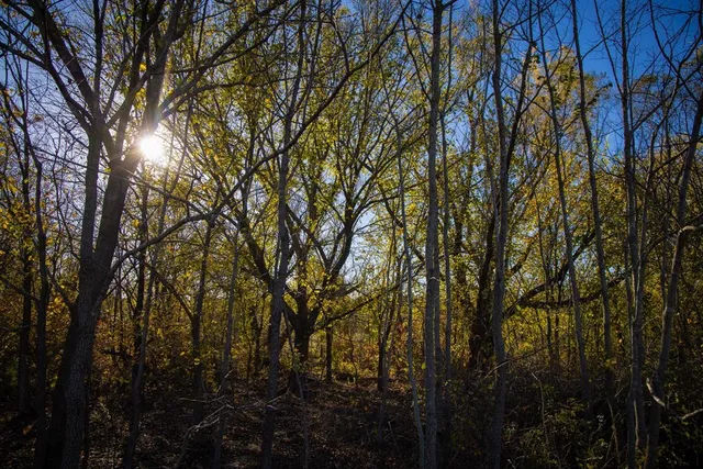 $150,000 | 3 Fm 677, St. Jo, TX 76265