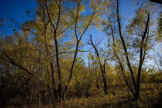 $150,000 | 3 Fm 677, St. Jo, TX 76265