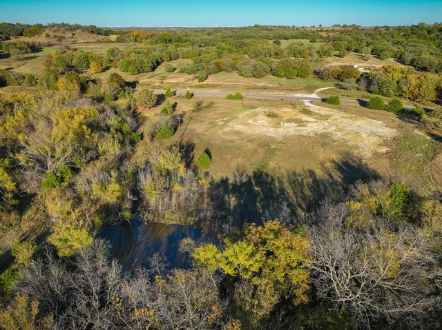 a view of a tree with a yard