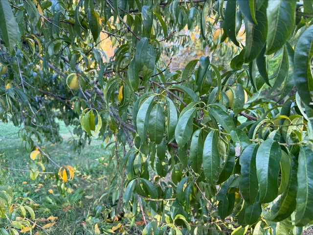 $435,000 | 13 Bar Mills Road, Hollis Center, ME 04042