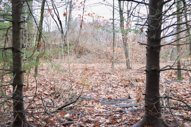 $435,000 | 13 Bar Mills Road, Hollis Center, ME 04042