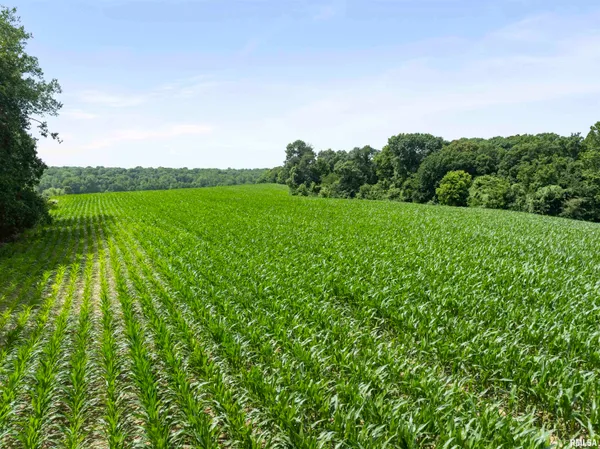 $300,000 | 0 North N Highway, Unit COUNTY, Lewistown, IL 61542