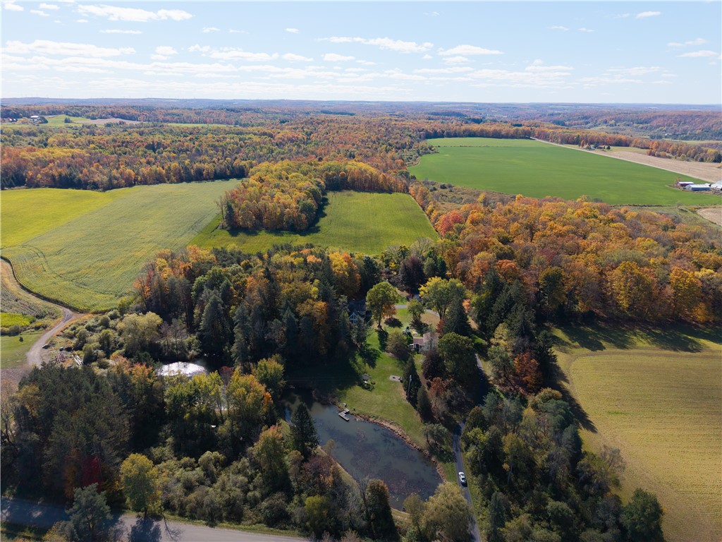 2390 McCormick Road Java, NY 14113 - Photo 47 of 50