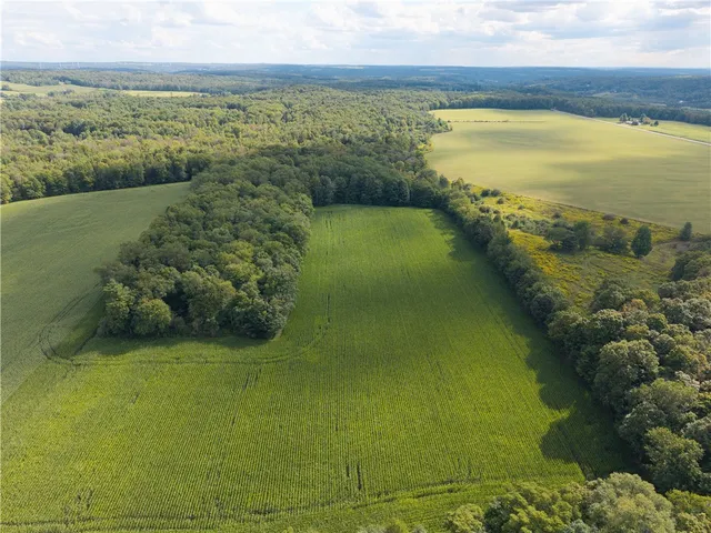 $845,000 | 2390 McCormick Road, Java, NY 14113