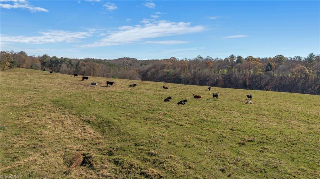 0 Austin Traphill Road Traphill, NC 28685 - Photo 19 of 30