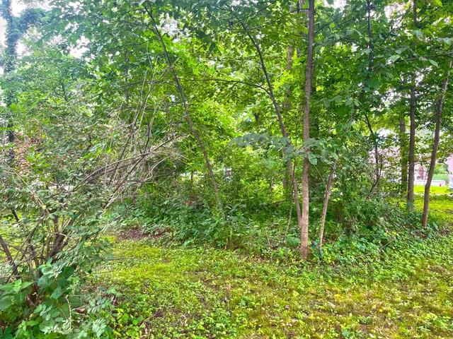 $110,000 | 238 Bayview Road, Williams Bay, WI 53191