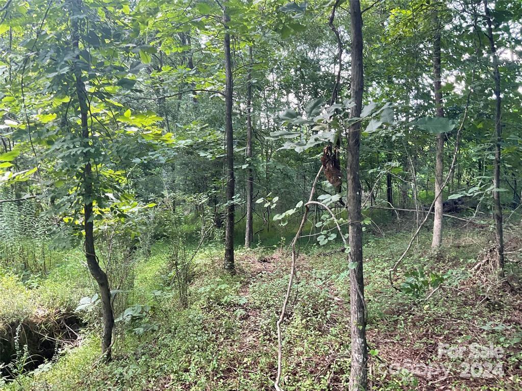 0 Ledbetter-Ford Road Oakboro, NC 28129 - Photo 3 of 7 a view of a garden