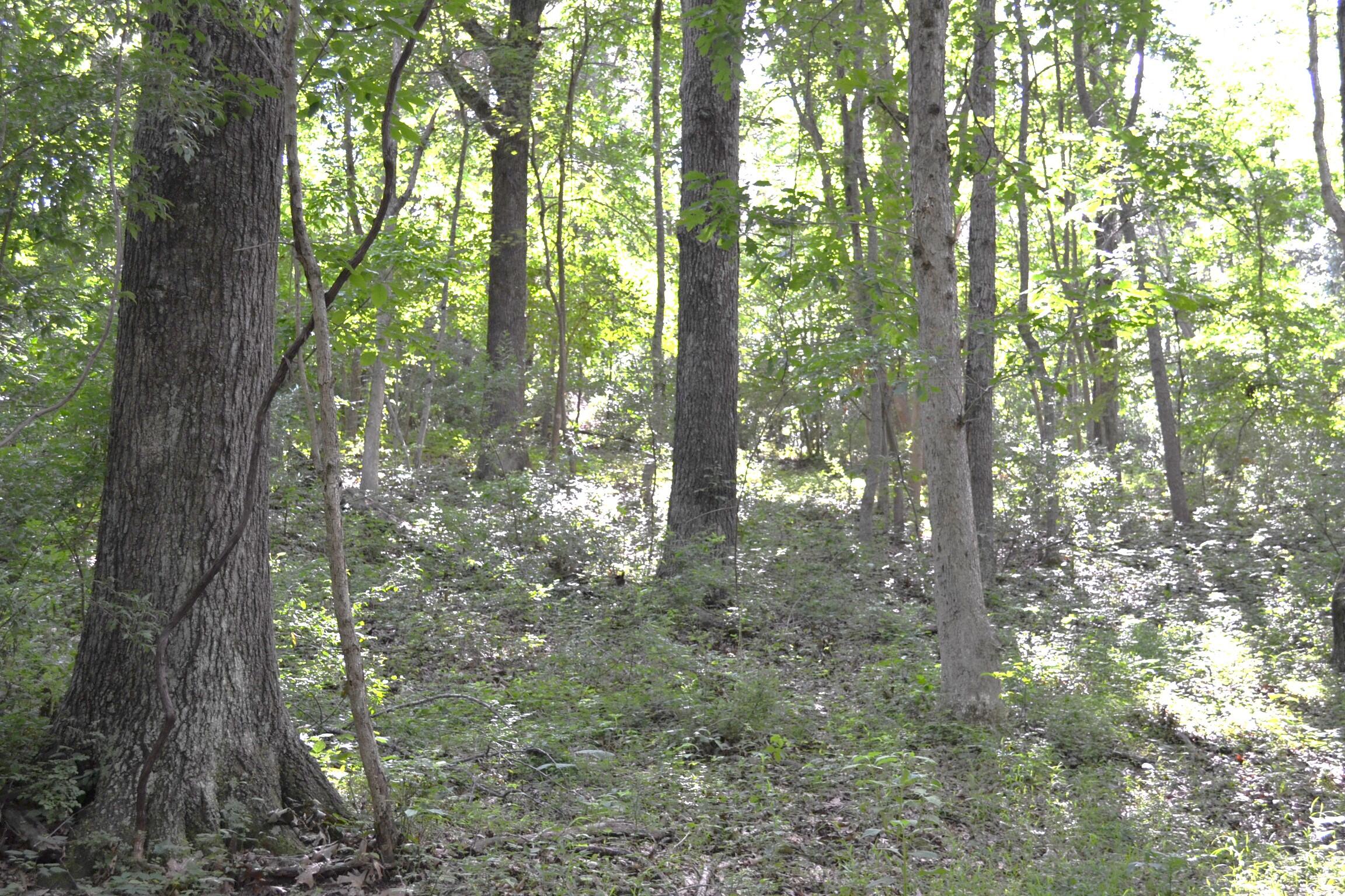 1546 Wilson Mill Road Peterstown, WV 24963 - Photo 19 of 35 Gallery Image 19