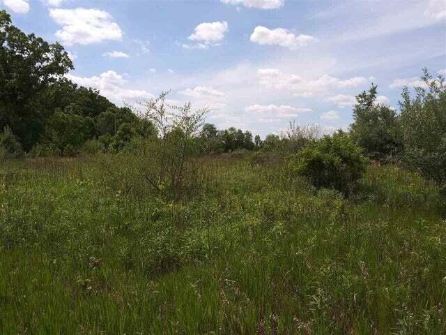 0 Lee Road Jackson, MI 49201 - Photo 2 of 7 tttg