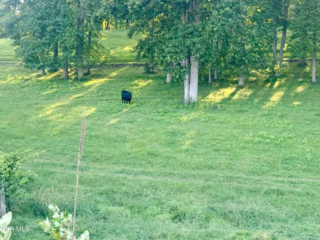 $299,000 | 2069 Hwy 11w Bristol Tn 37620, Unit 2, Bristol, TN 37620