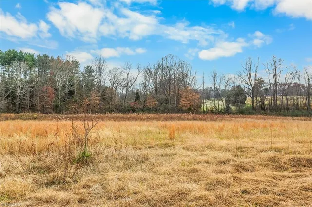 $499,000 | 251 Palamino Trail, Dobson, NC 27017