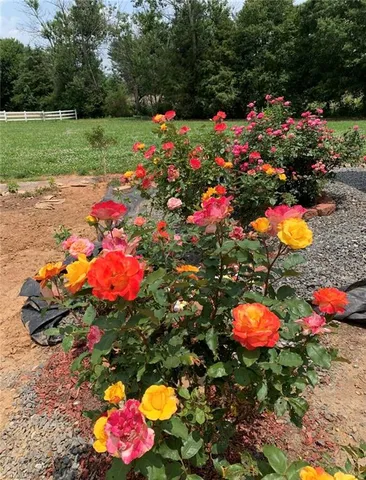 $499,000 | 251 Palamino Trail, Dobson, NC 27017