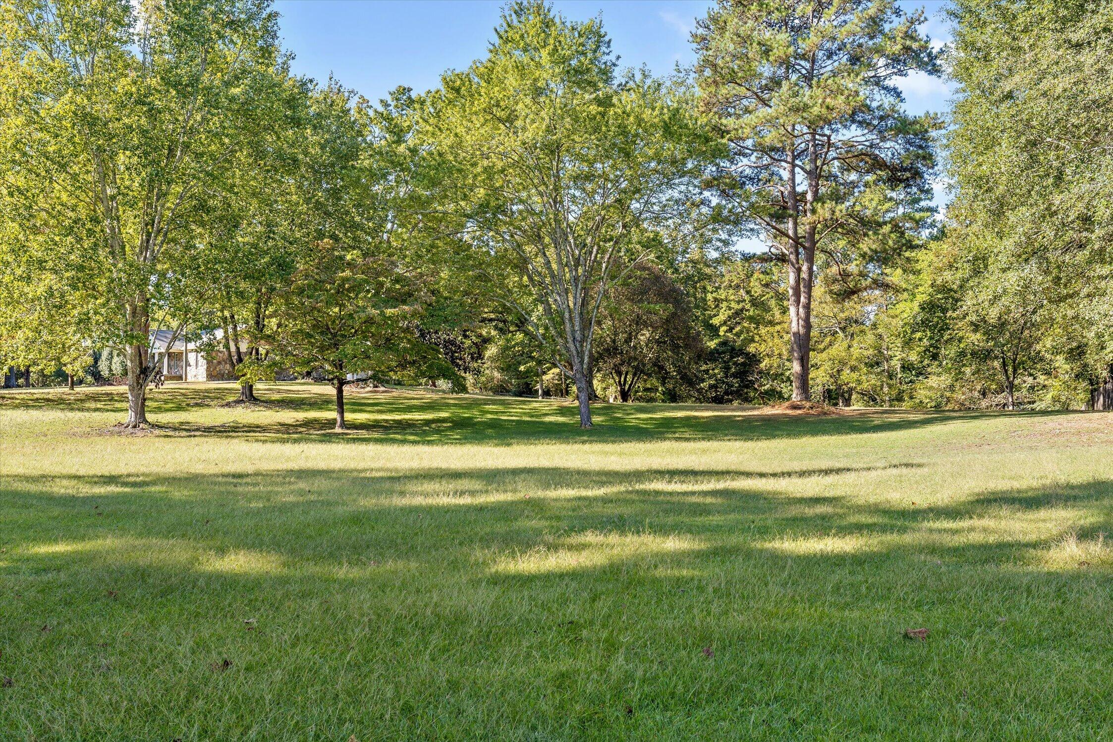 204 Dodd Road Ringgold, GA 30736 - Photo 61 of 87 55-204 Dodd-46