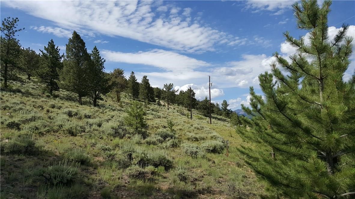 Lot 489 Red Hill Fairplay, CO 80440 - Photo 2 of 6 Gallery Image 2