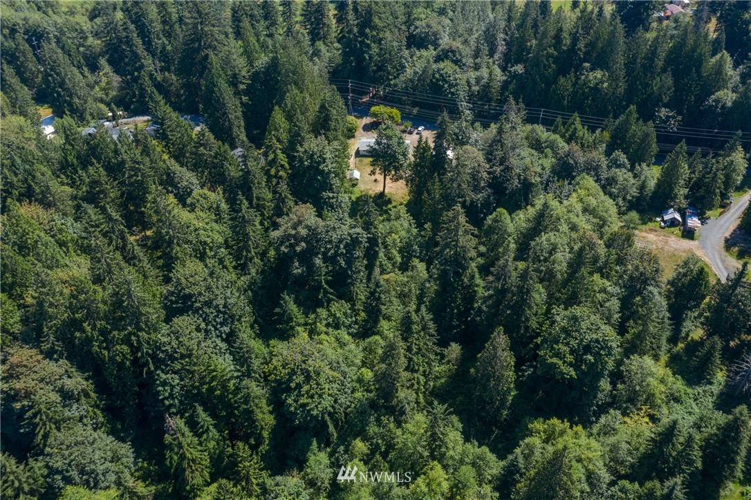 16623 Three Lakes Road Snohomish, WA 98290 - Photo 36 of 36 an aerial view of residential house with outdoor space and trees all around