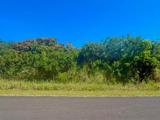 a view of a yard with a tree