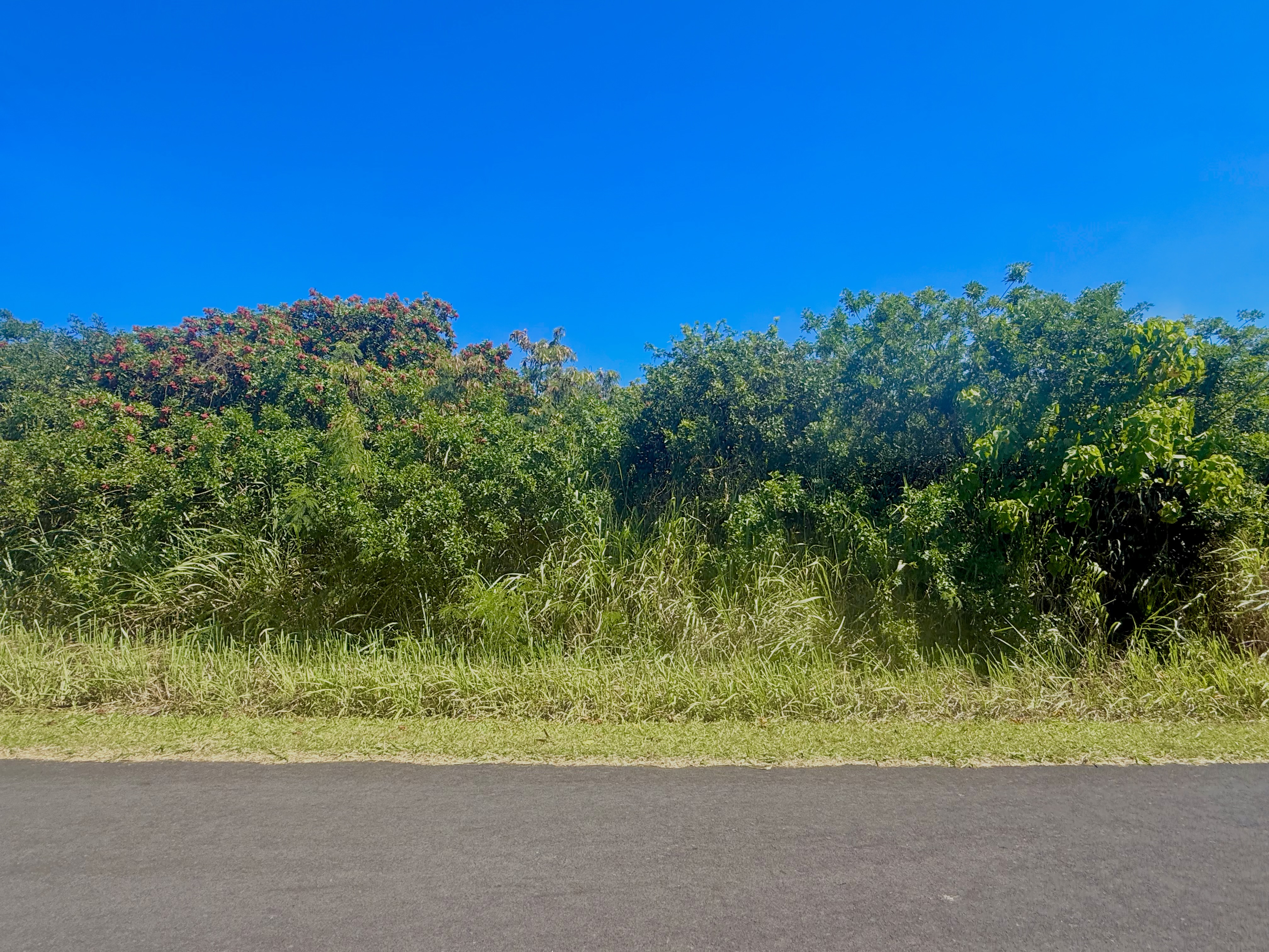 586 Lewa Lani Place Naalehu, HI 96772 - Photo 1 of 8 a view of a yard with a tree