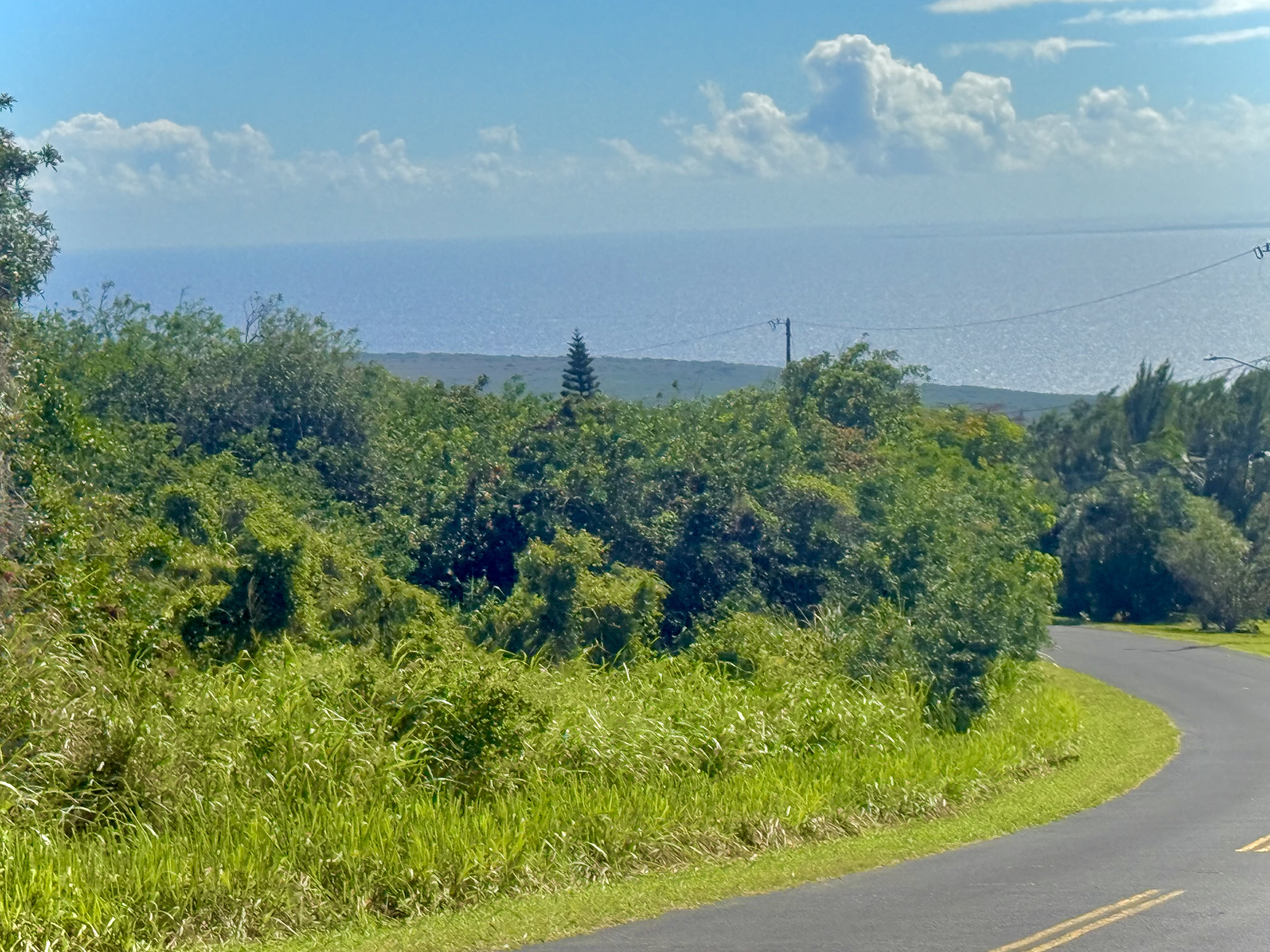586 Lewa Lani Place Naalehu, HI 96772 - Photo 3 of 8 a view of a garden