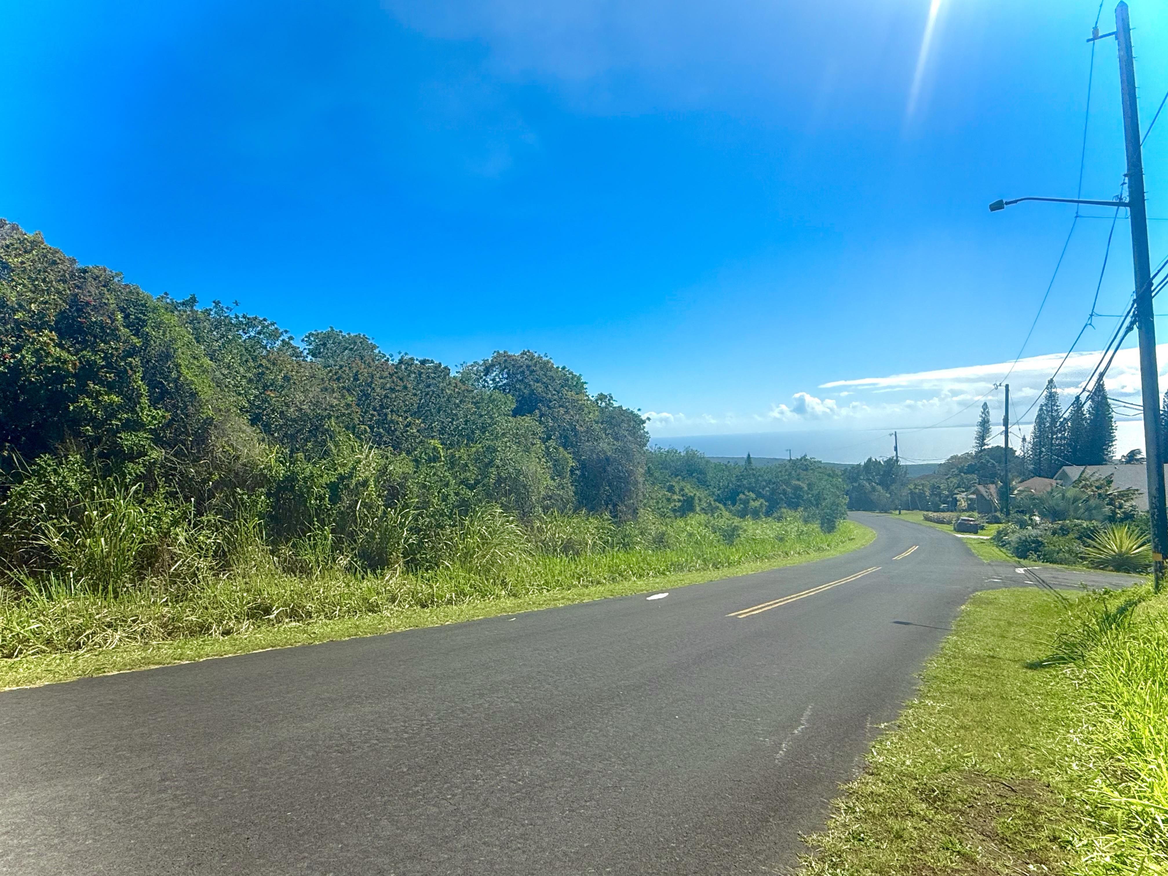 586 Lewa Lani Place Naalehu, HI 96772 - Photo 6 of 8 a view of a road with a big yard and large trees