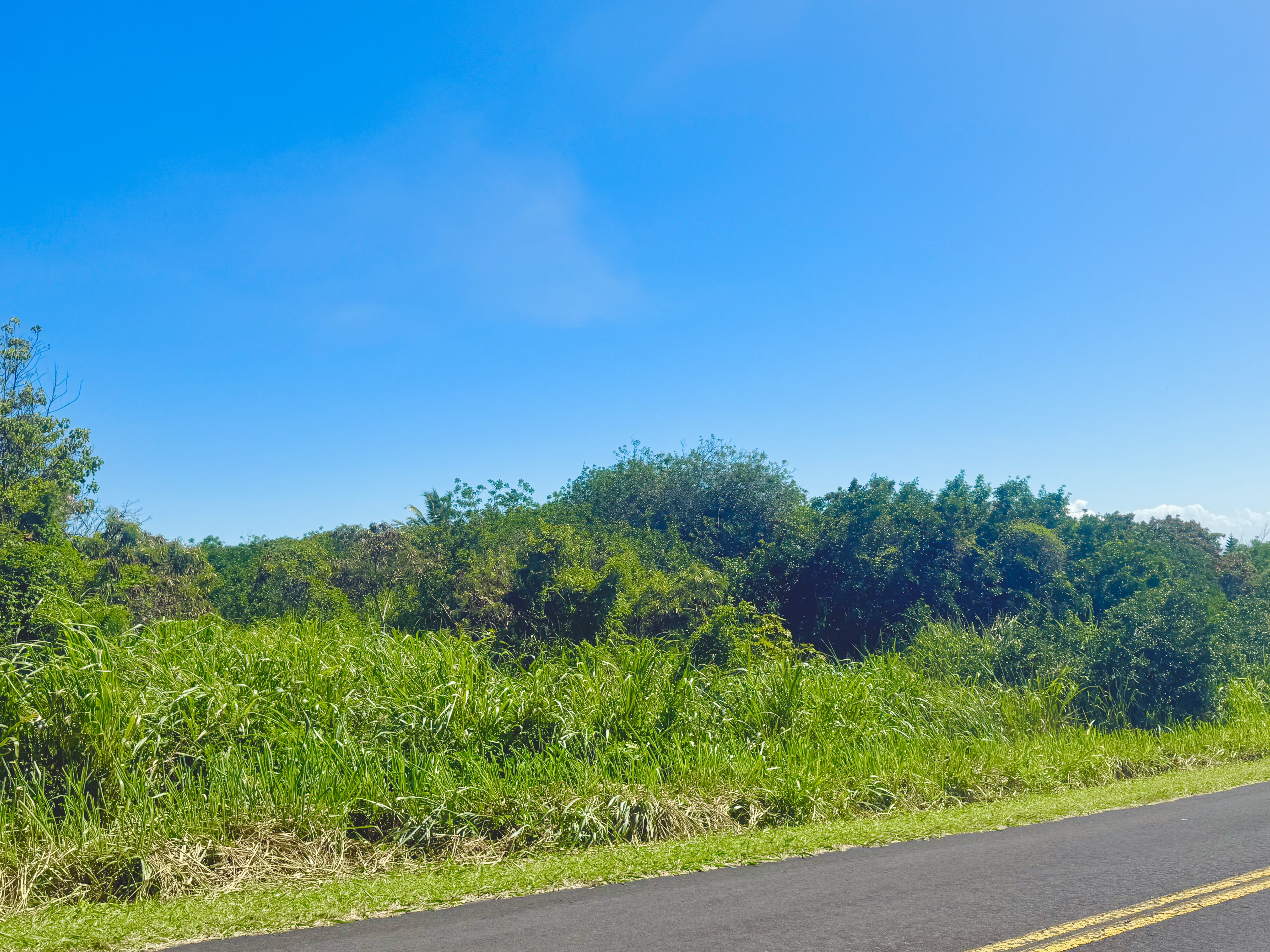 586 Lewa Lani Place Naalehu, HI 96772 - Photo 7 of 8 a view of a garden