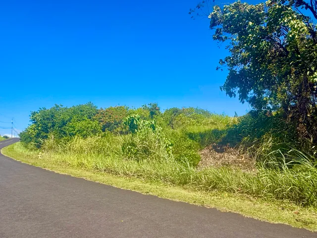 a view of a yard with an outdoor space