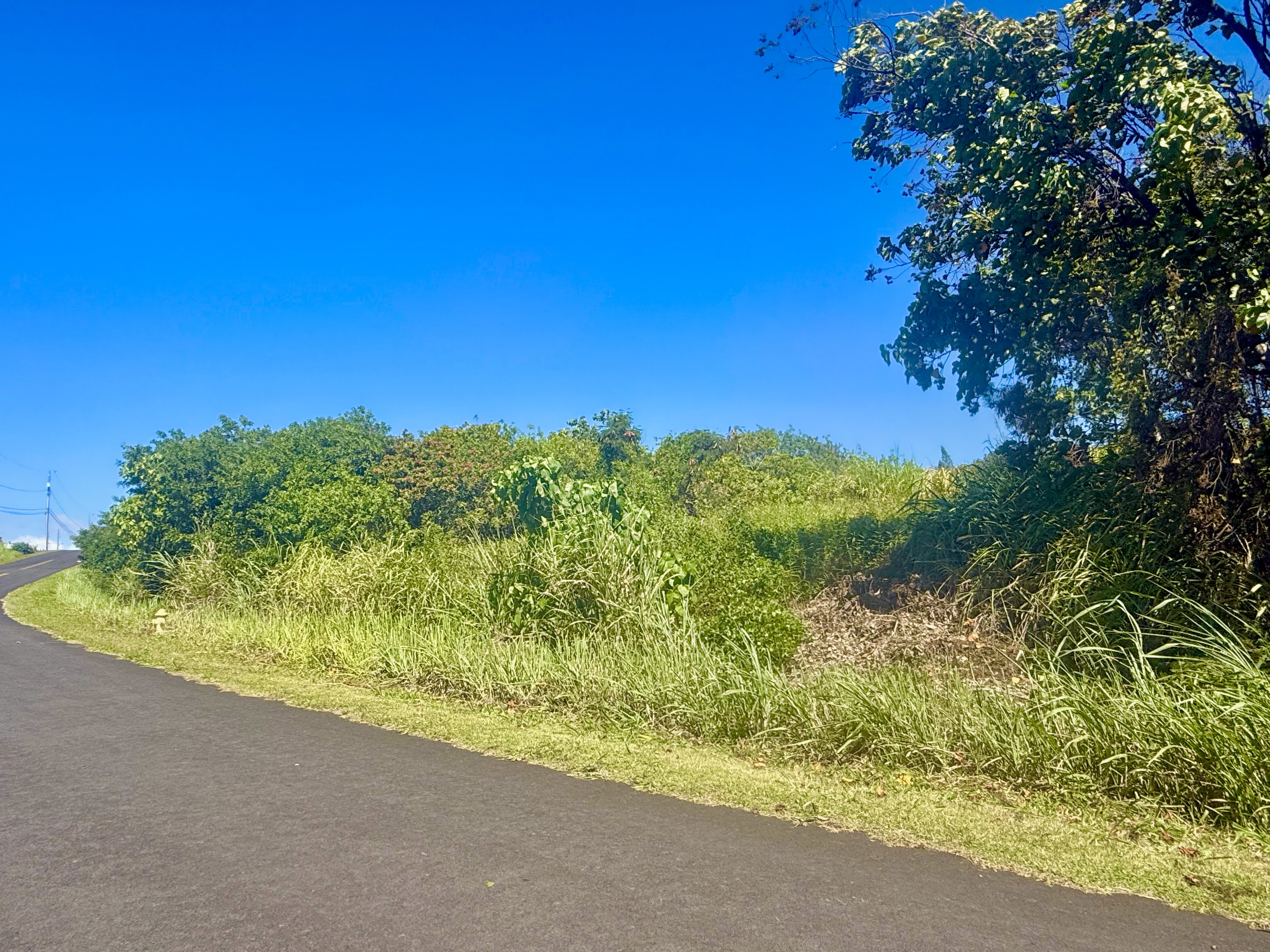 586 Lewa Lani Place Naalehu, HI 96772 - Photo 8 of 8 a view of a yard with an outdoor space