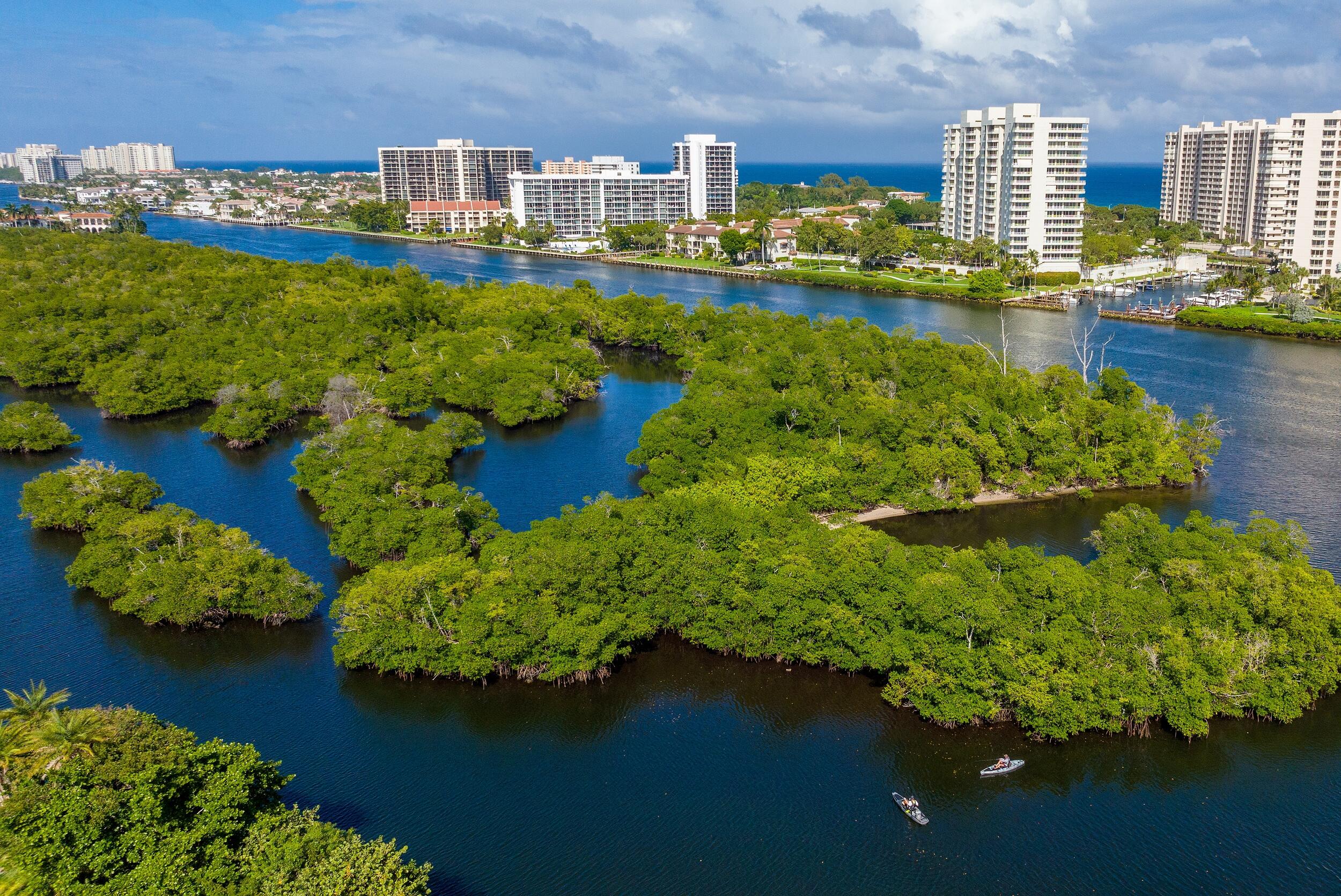707 Northeast 40th Road Boca Raton, FL 33431 - Photo 8 of 51 Mangroves