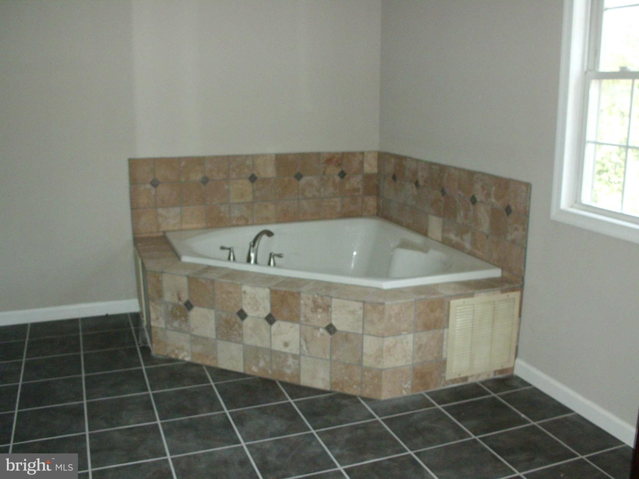 23 Carter Road Rising Sun, MD 21911 - Photo 16 of 17 Bath (Master)
