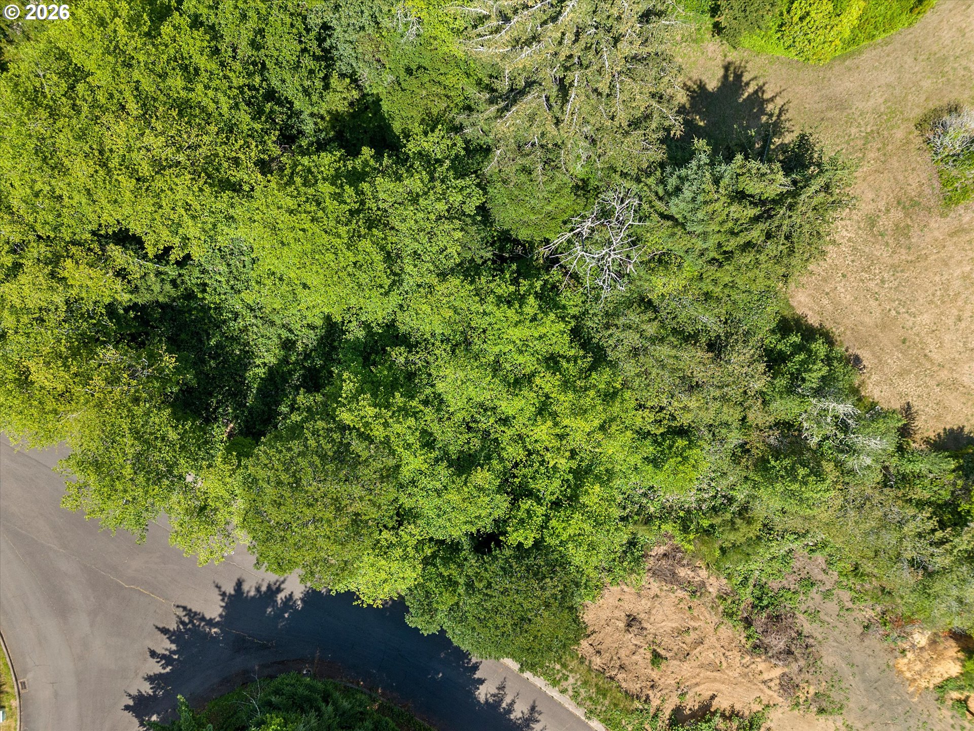 0 Southeast Scenic Loop Newport, OR 97365 - Photo 8 of 14