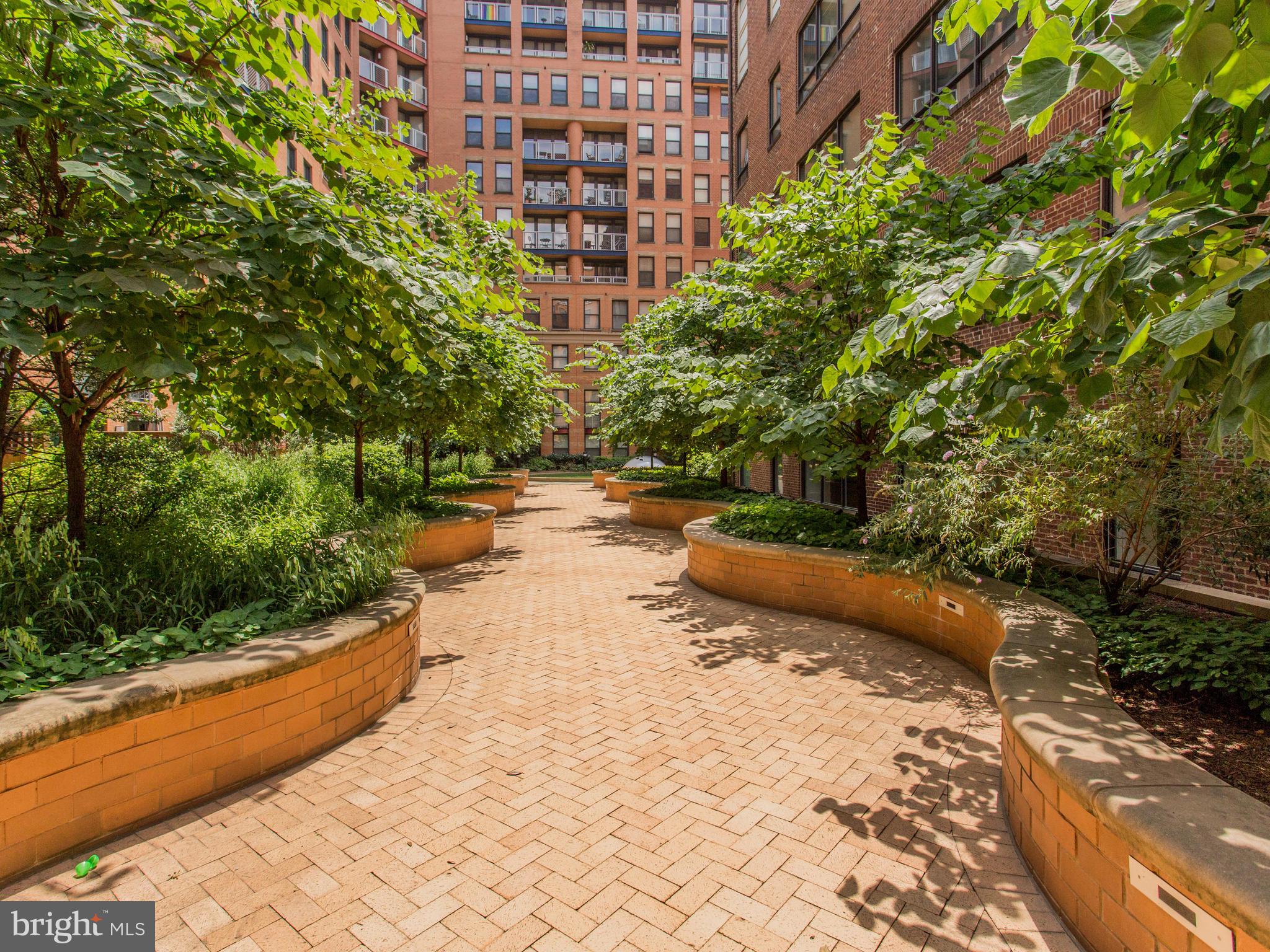 616 E Street Northwest, Unit 1007 Washington, DC 20004 - Photo 55 of 67 a view of a yard with plants and trees