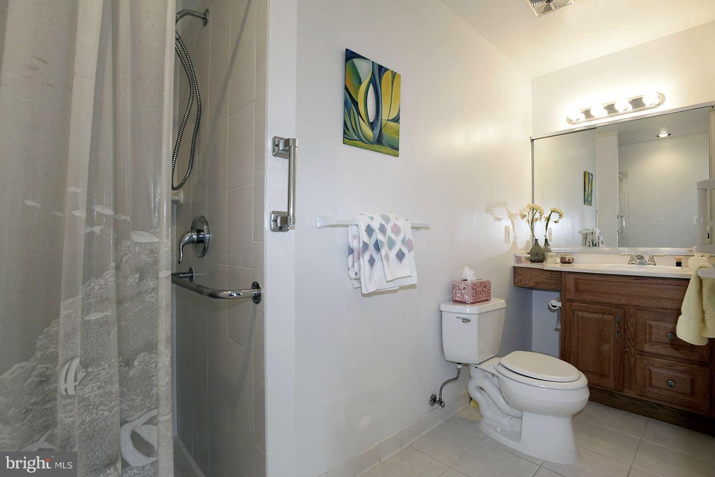 3013 Birchtree Lane Silver Spring, MD 20906 - Photo 15 of 25 Main Level Full Bath